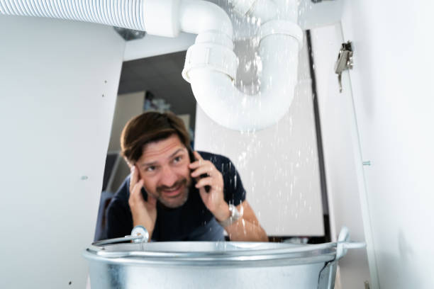 Best Same-Day Plumbing Service  in Le Sueur, MN