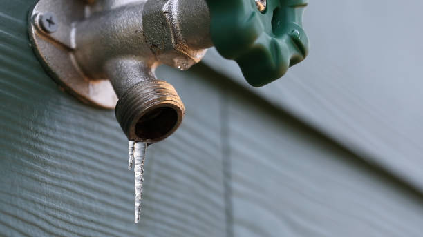 Best Plumbing Inspection Services  in Le Sueur, MN